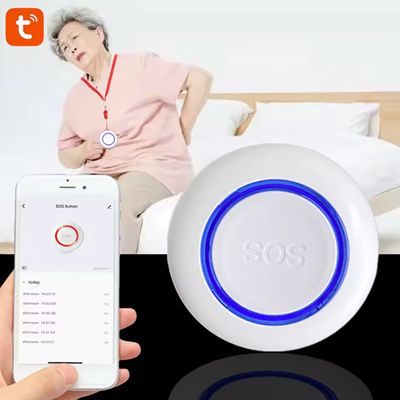 Prenosni polnilnik za električna vozila