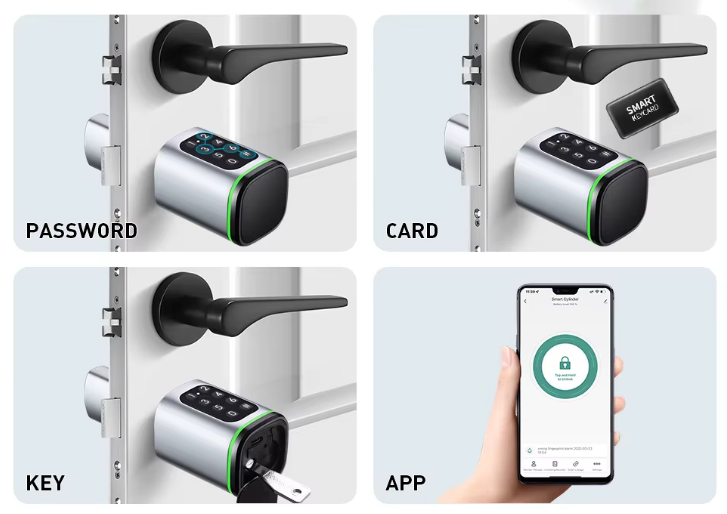 Brava s više načina otključavanja Načini otključavanja brave Tuya Smart Life